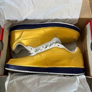 Notre dame themed custom shoes